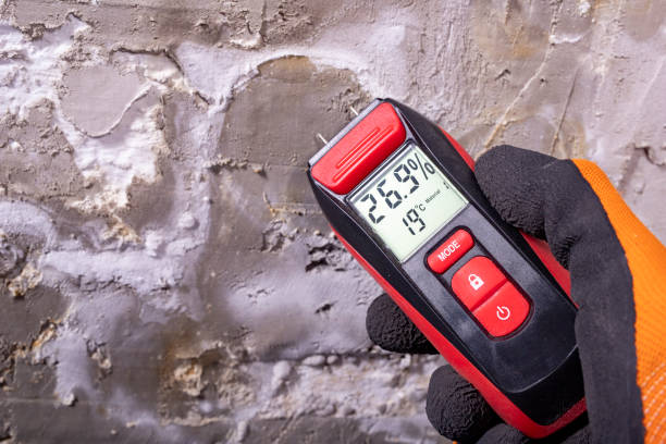 Best Mold Removal Company Near Me  in Madison, MS
