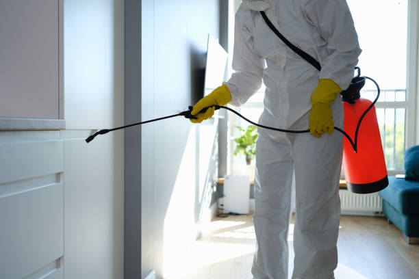 Best Residential Mold Removal  in Madison, MS