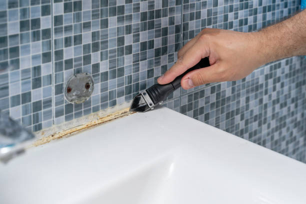 Best Certified Mold Removal  in Madison, MS