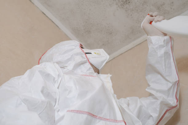 Best Mold Remediation Experts  in Madison, MS